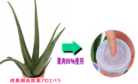 アロエ化粧水 肌に優しい薬用のアロエベラ化粧水 アロエ化粧水 肌に優しい薬用のアロエベラ化粧水